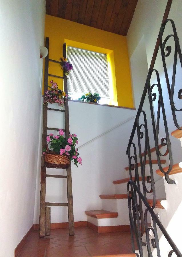 Casa Di Mamma Casa Vacanze Genga  Eksteriør bilde